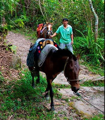 Puedes alquilar caballos en Cocachimba o San Pablo, para recorrer parte de la ruta.